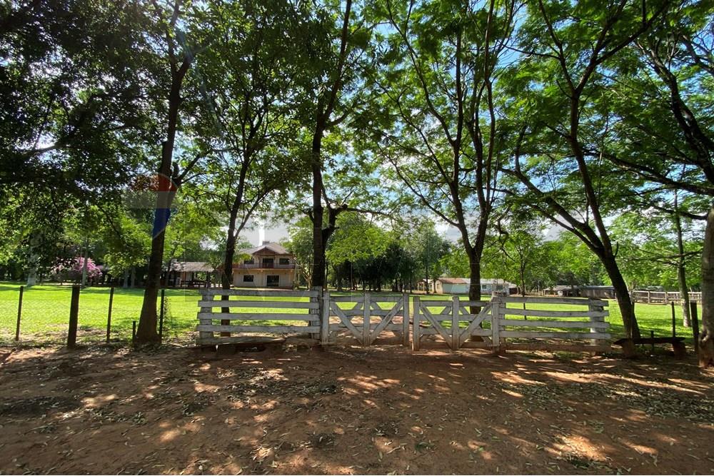 Commercieel - Boerderij - Paraguay Caaguazú Coronel Oviedo - PY - IMG_8287.jpeg - 143050100-33