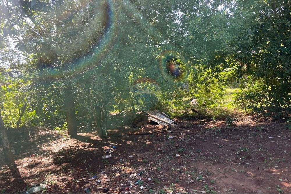 lakó - szabadonálló ház - Paraguay Itapúa Encarnación - PY - 43f9bd13-cf73-43bc-9dcc-cb278cd620d0.jpg - 143080171-5