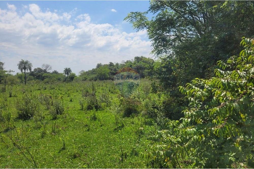 Finca Agrícola - Venta - Paraguay Caazapá San Juan Nepomuceno - 3.jpg - 143095004-90