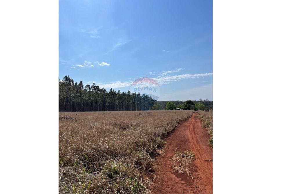 Commercial - Land - Paraguay Alto Paraná Hernandarias - PY - WhatsApp Image 2025-09-04 at 11.27.44.jpeg - 143050002-227