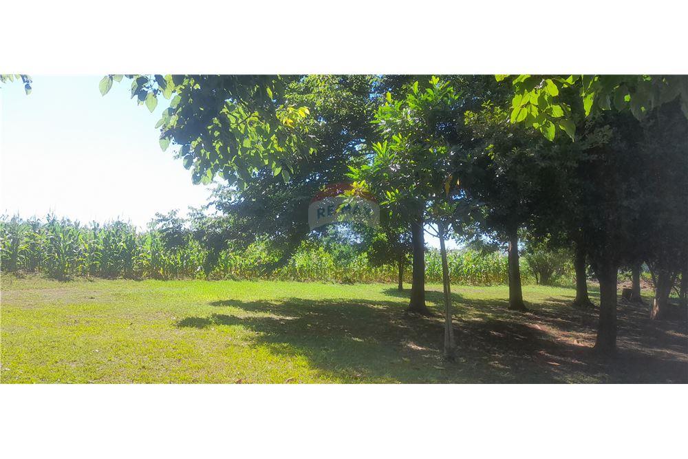 Residential - Land - Paraguay Alto Paraná Minga Guazú - PY - 9 - 143050095-29
