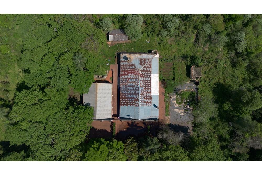 kereskedelmi - Föld - Paraguay Alto Paraná Minga Guazú - PY - FOTO (7 de 14).jpg - 143050035-118