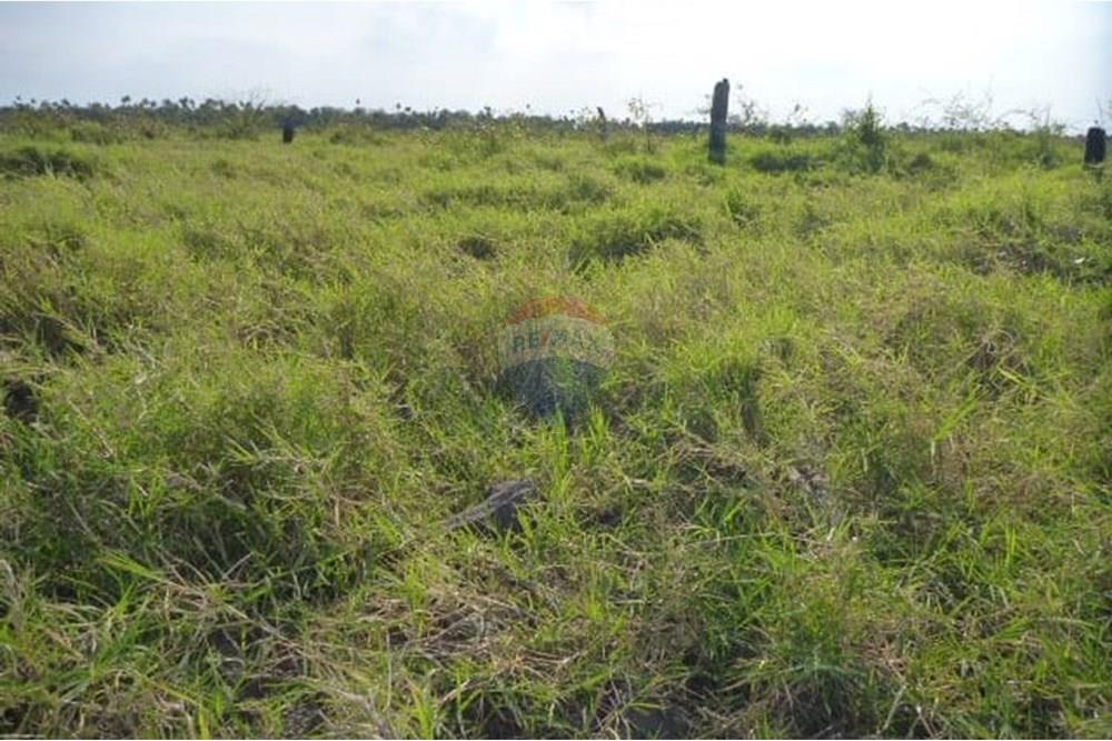 Επαγγελματικό - Φάρμα - Paraguay Presidente Hayes General José María Bruguéz - PY - WhatsApp Image 2025-03-24 at 15.04.58 (3).jpeg - 143063204-15