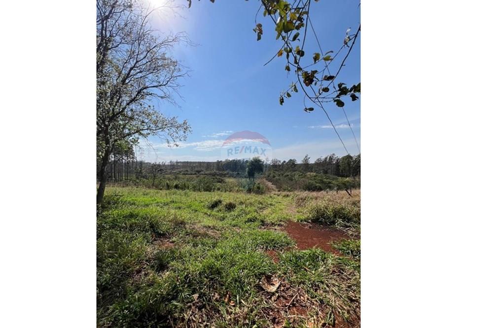 Commercial - Land - Paraguay Alto Paraná Hernandarias - PY - WhatsApp Image 2025-09-04 at 11.27.45.jpeg - 143050002-227