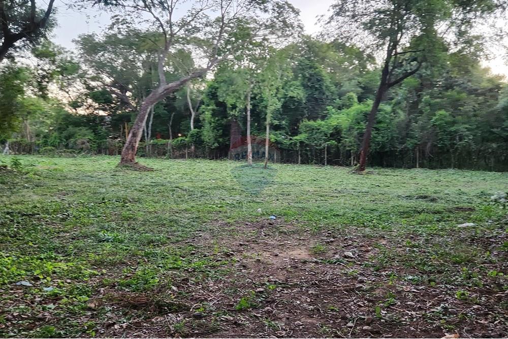 Residential - Maa - Paraguay Cordillera San Bernardino - PY - Imagen de WhatsApp 2025-09-08 a las 12.58.01_2c1dd718.jpg - 143085019-513