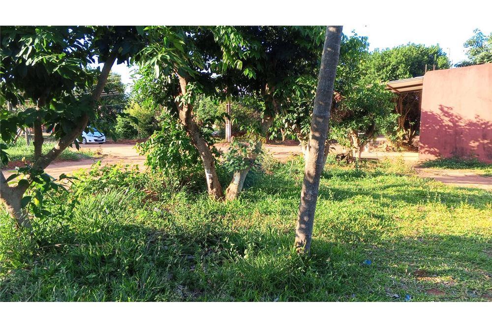 Terreno - Venta - Paraguay Central Capiata - 19 - 143026092-49