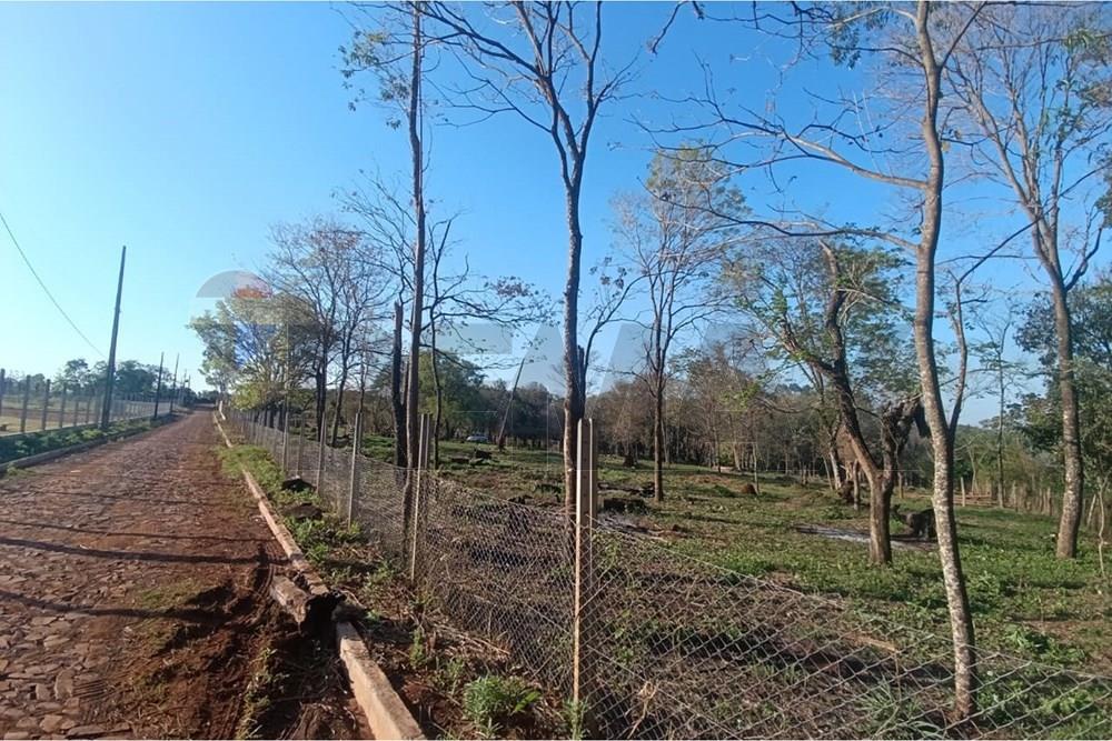 Residential - Land - Paraguay Alto Paraná Hernandarias - PY - WhatsApp Image 2026-01-10 at 10.43.18.jpeg - 143050055-130