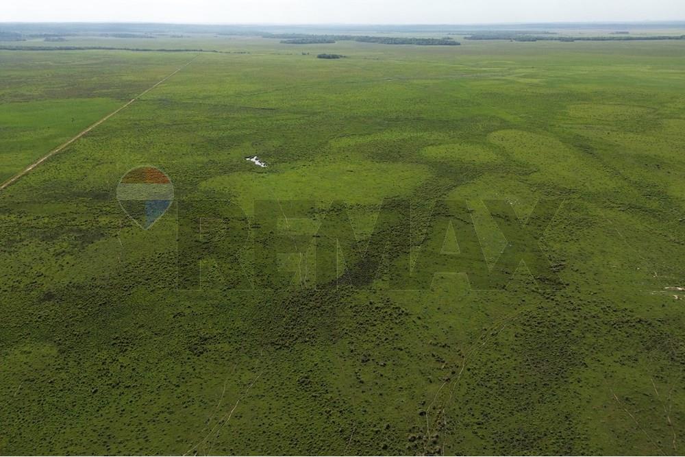 Commercieel - Boerderij - Paraguay Caaguazú Coronel Oviedo - PY - DJI_0631.JPG - 143050100-33