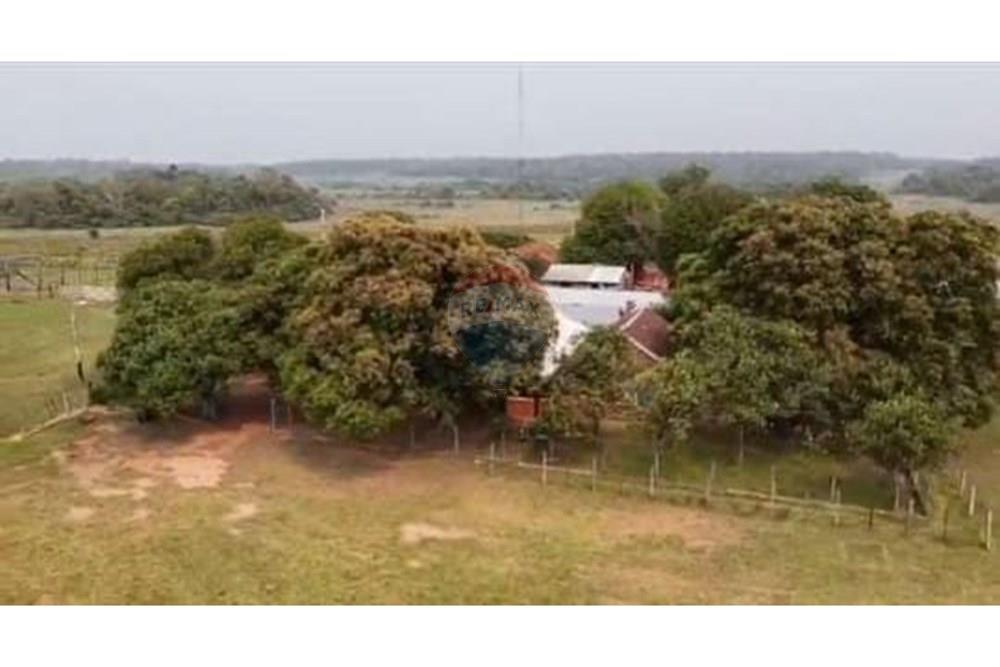 Commercial - Farm - Paraguay San Pedro General Elizardo Aquino - PY - WhatsApp Image 2025-06-18 at 14.35.21 (2).jpeg - 143050060-297
