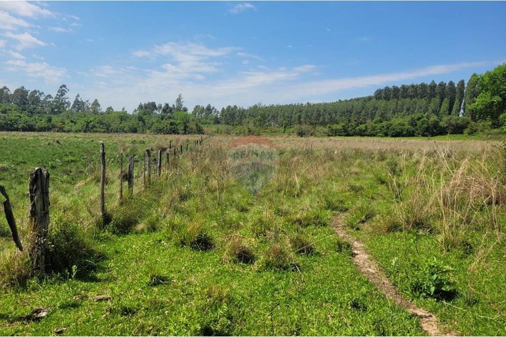 Finca Agrícola - Venta - Paraguay Caazapá San Juan Nepomuceno - 11.jpg - 143095004-90