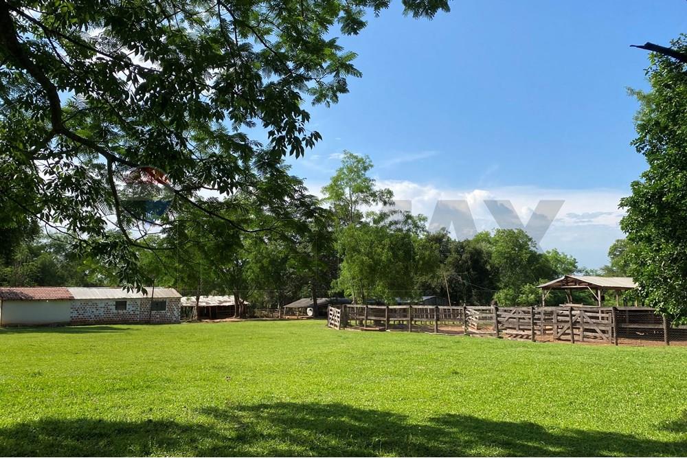 Commercieel - Boerderij - Paraguay Caaguazú Coronel Oviedo - PY - IMG_8291.jpeg - 143050100-33