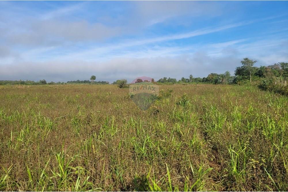 Finca Agrícola - Venta - Paraguay Caazapá Caazapá - 8.jpg - 143095004-83