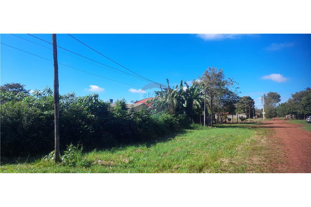 Residential - Land - Paraguay Alto Paraná Hernandarias - PY - 5 - 143050095-19
