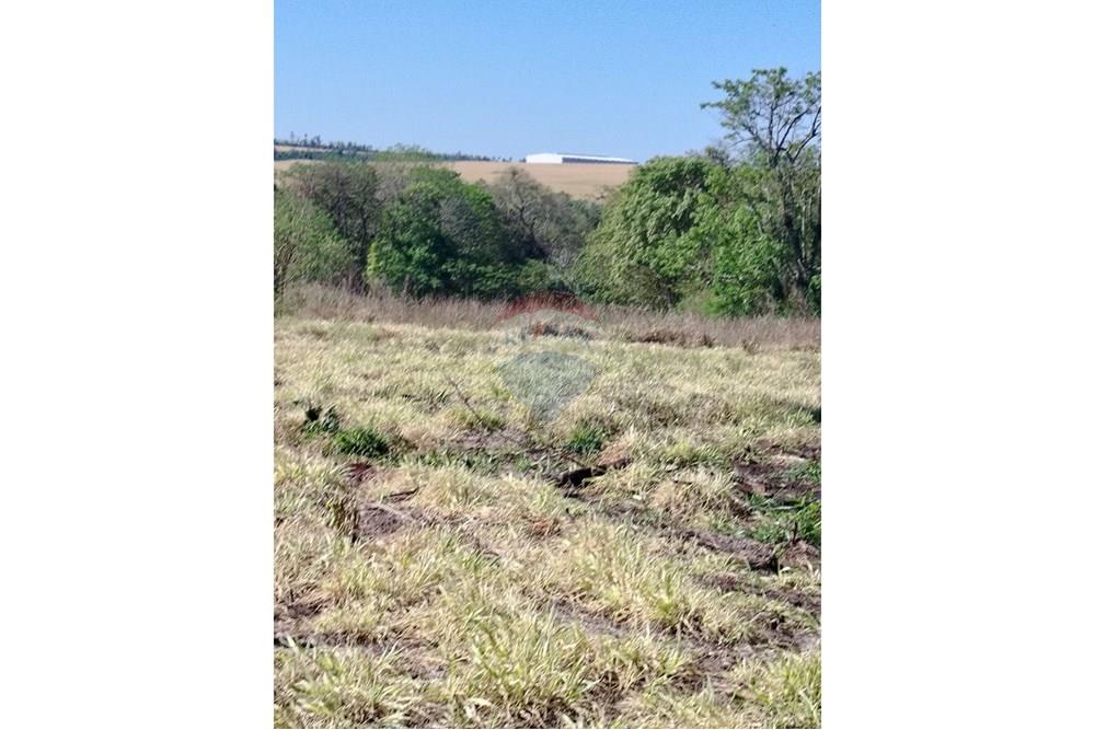 Commercial - Farm for Agriculture - Paraguay Alto Paraná Ciudad Del Este - PY - IMG_20251007_133348_227.jpg - 143050060-305