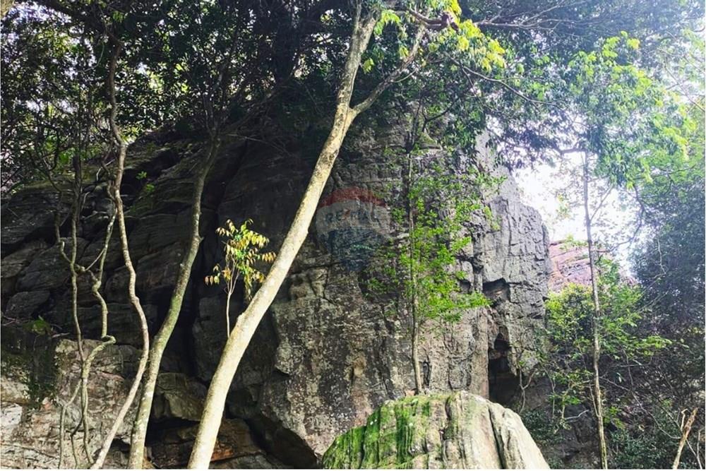 Residential - Jord - Paraguay Caaguazú Coronel Oviedo - PY - 6.jpg - 143063128-220