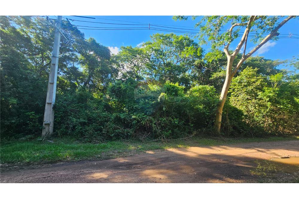 Elamine - Kinnistu - Paraguay Cordillera San Bernardino - PY - 8 - 143025178-16