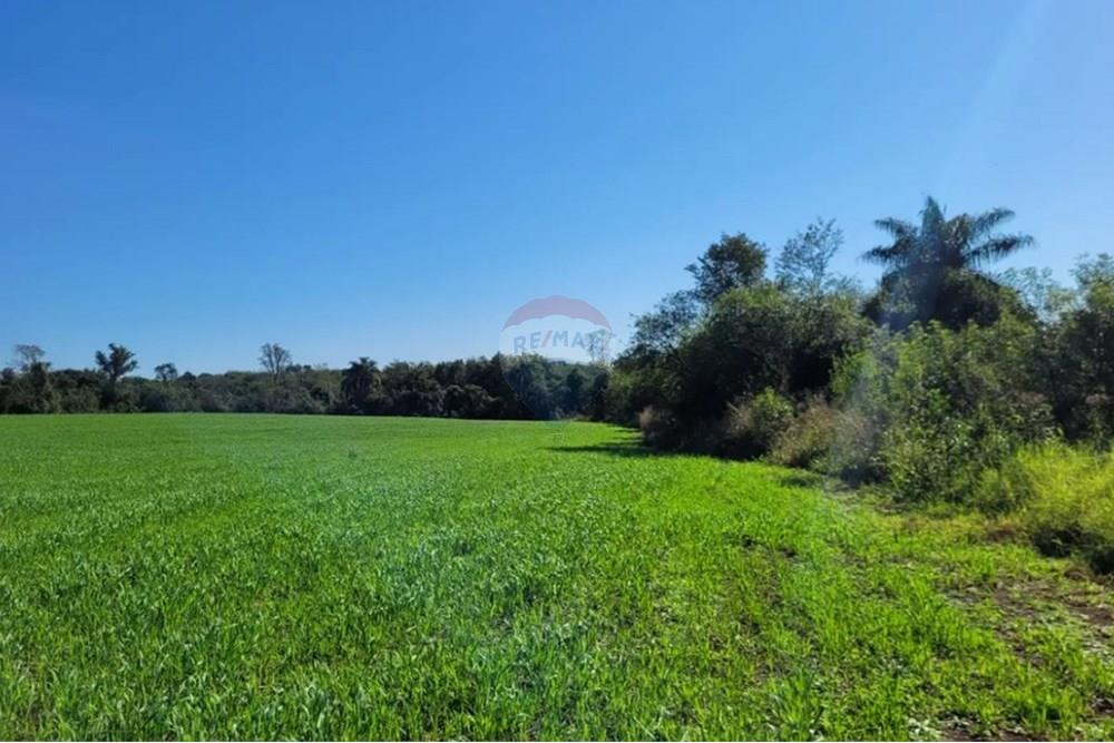 Residential - Κτήμα - Paraguay Alto Paraná Naranjal - PY - 11.jpg - 143050033-201