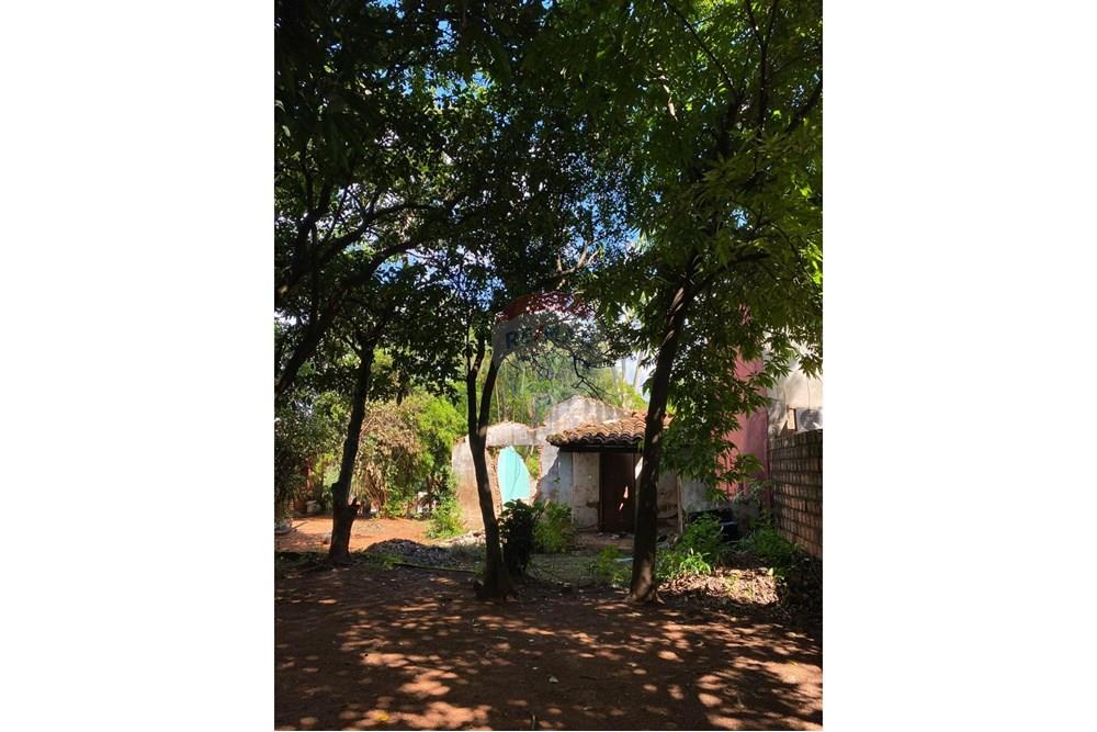 Жилищен - Поземлен имот - Парагвай Central San Lorenzo - PY - 7ea51369-1289-4a3e-b565-78481f77e71d.jpeg - 143080161-6