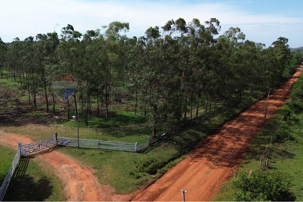 Commercieel - Boerderij - Paraguay Caaguazú Coronel Oviedo - PY - DJI_0664.JPG - 143050100-33