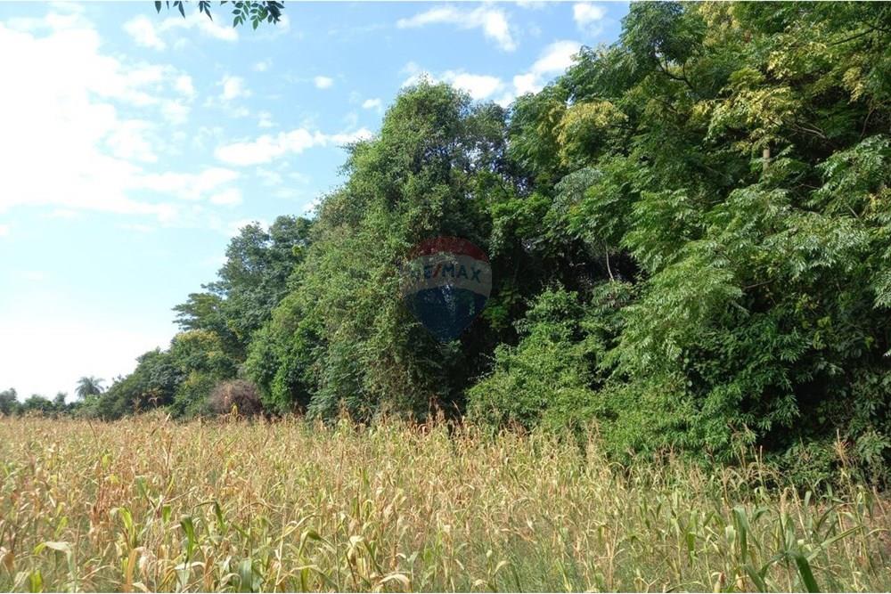 Finca Agrícola - Venta - Paraguay Caazapá Caazapá - photo_2025-01-13_11-23-02 (2).jpg - 143095004-71