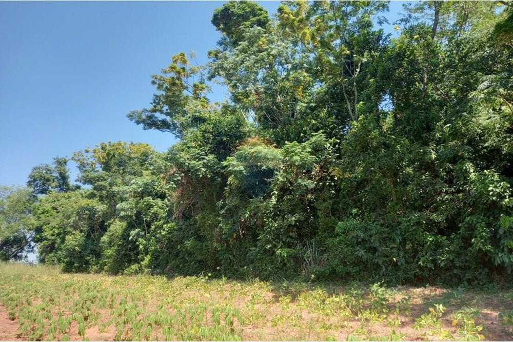 Finca Agrícola - Venta - Paraguay Caazapá Caazapá - photo_2025-01-13_11-22-56.jpg - 143095004-71