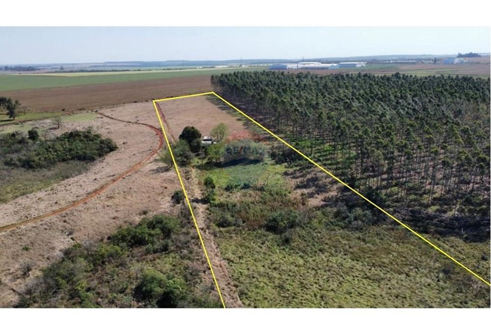 Commercial - Land - Paraguay Alto Paraná Hernandarias - PY - WhatsApp Image 2025-08-31 at 17.04.09.jpeg - 143050002-227