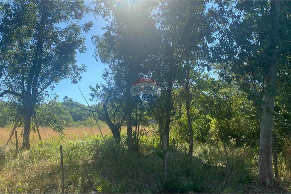 Residential - Land - Paraguay Cordillera San Bernardino - PY - S.BER7.jpg - 143063105-89