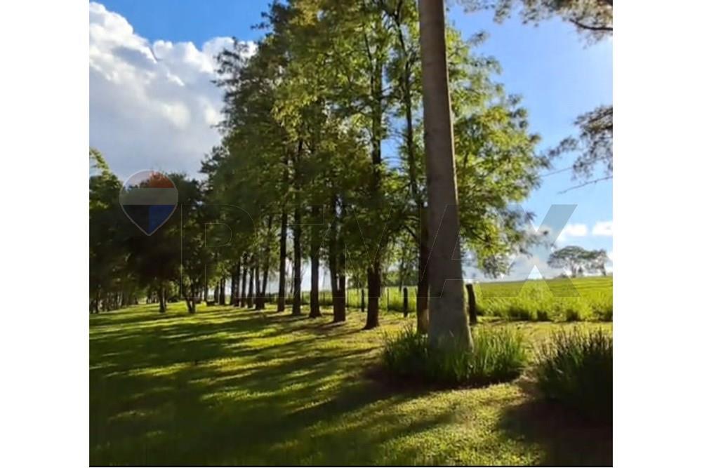 Residential - Land - Paraguay Alto Paraná Presidente Franco - PY - WhatsApp Image 2025-11-05 at 14.24.18 (1).jpeg - 143050065-43