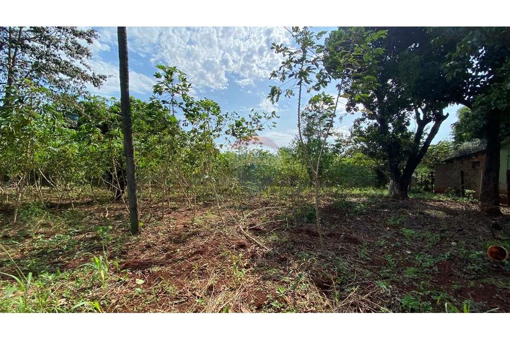 Residential - Jord - Paraguay Alto Paraná Minga Guazú - PY - IMG_6922.jpeg - 143050066-59