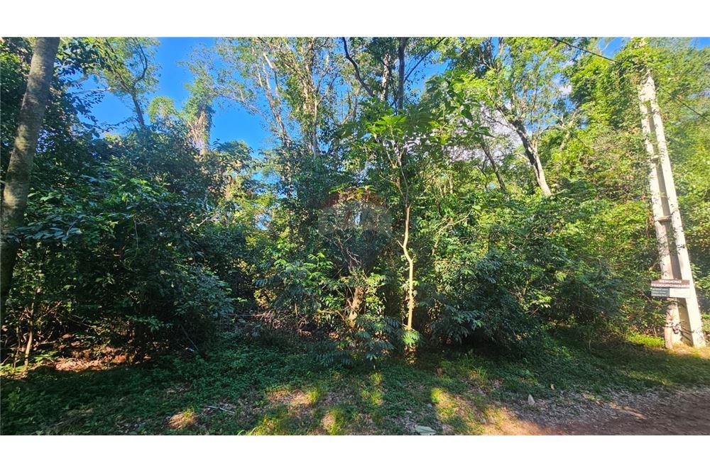 Elamine - Kinnistu - Paraguay Cordillera San Bernardino - PY - 7 - 143025178-16