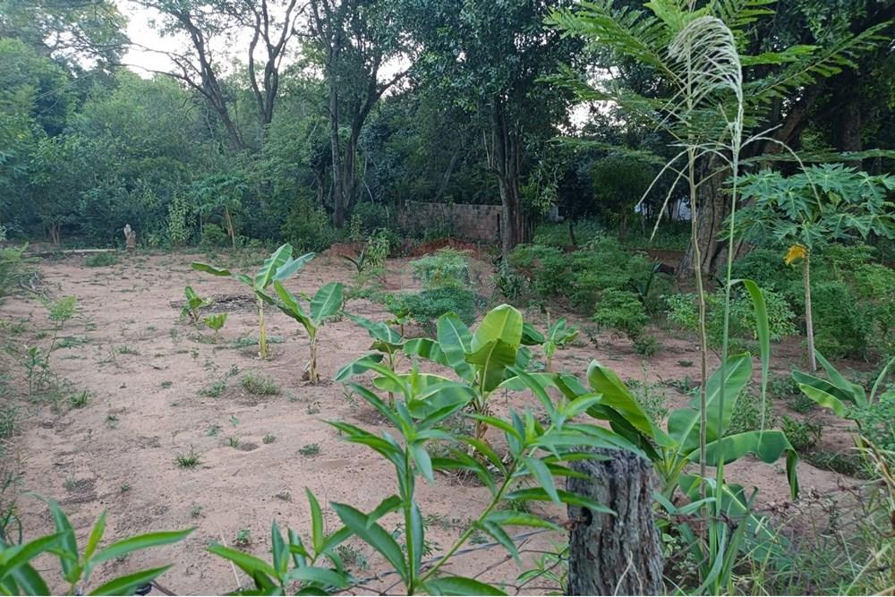 Terreno - Venta - Paraguay Central Aregua - WhatsApp Image 2025-02-07 at 9.06.05 AM (2).jpeg - 143095028-8