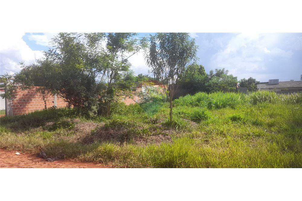 Residential - Land - Paraguay Alto Paraná Hernandarias - PY - 9 - 143050095-23