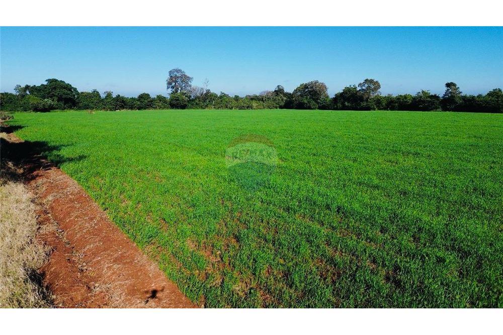 Mieszkaniowa - Działka - Paragwaj Itapúa Cambyretá - PY - 15 - 143011030-221