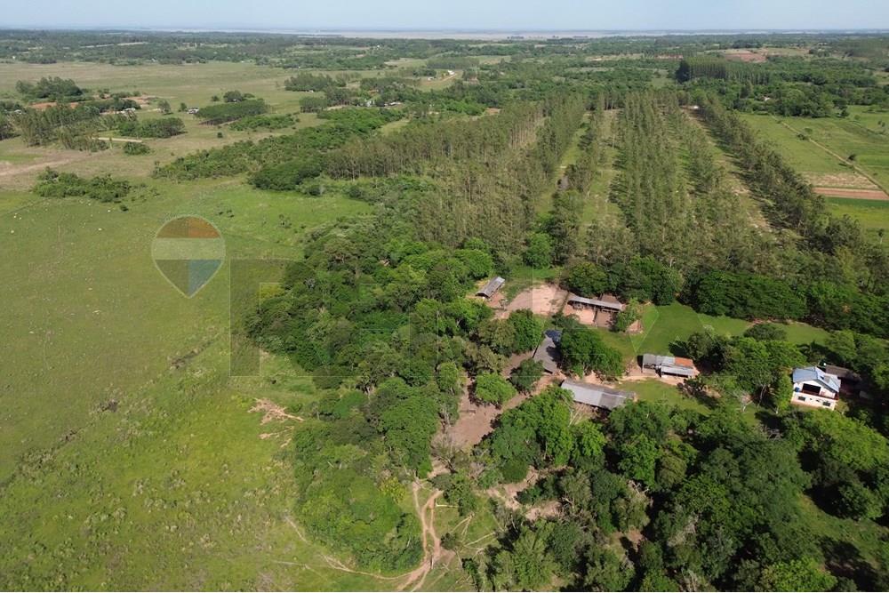 Commercieel - Boerderij - Paraguay Caaguazú Coronel Oviedo - PY - DJI_0629.JPG - 143050100-33