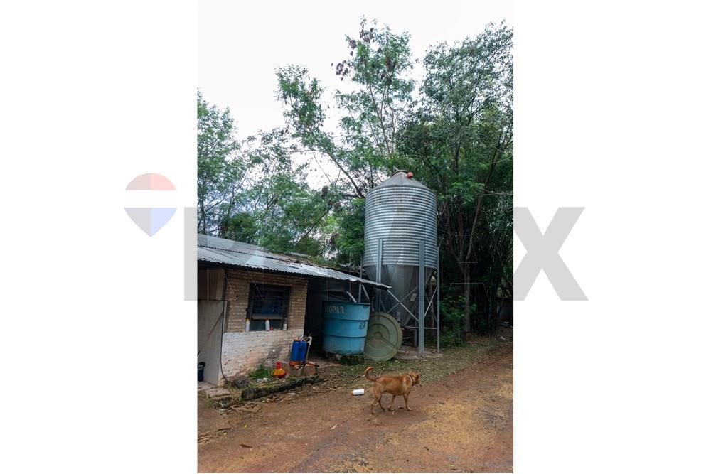 Commercial - Agricultural Farm - Paraguay Cordillera Itacurubí De La Cordillera - PY - FOTO1 (8 de 42).jpg - 143050097-75