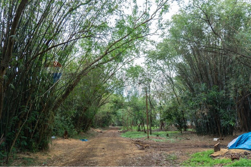Commercial - Agricultural Farm - Paraguay Cordillera Itacurubí De La Cordillera - PY - FOTO1 (18 de 42).jpg - 143050097-75
