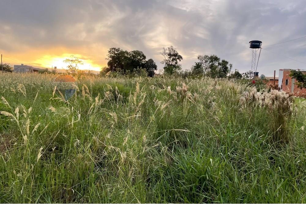 Residential - Land - Paraguay Alto Paraná Hernandarias - PY - WhatsApp Image 2025-04-22 at 8.43.08 PM.jpeg - 143050087-94