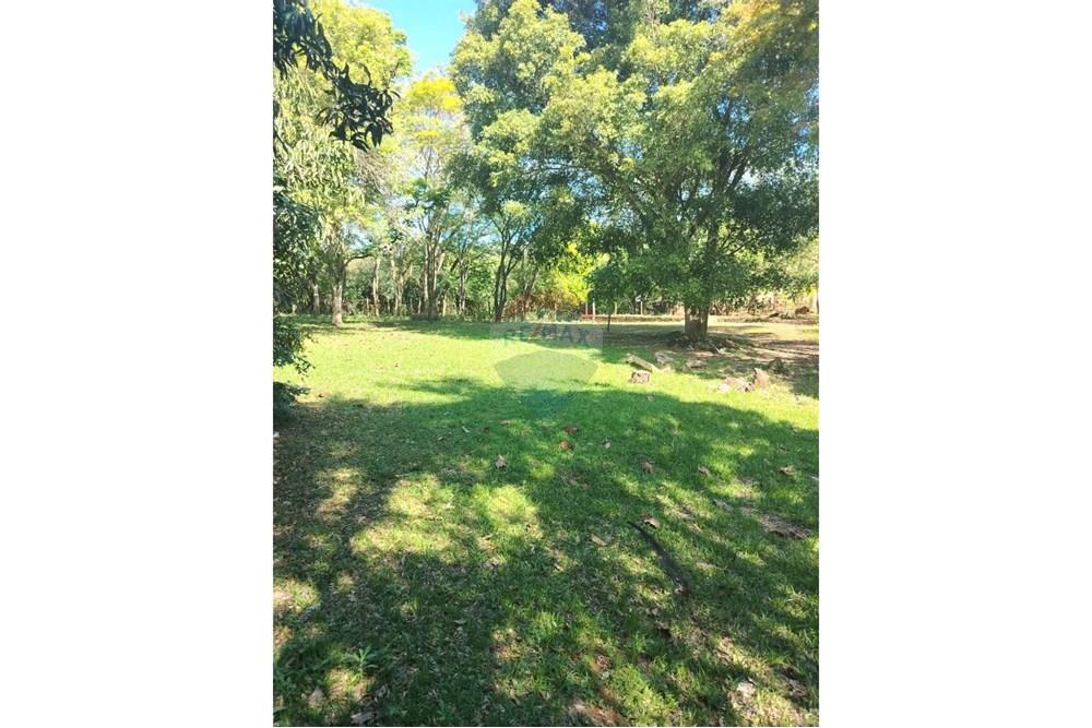 Commercial - Farm for Agriculture - Paraguay Alto Paraná Ciudad Del Este - PY - IMG_20251007_133414_749.jpg - 143050060-305