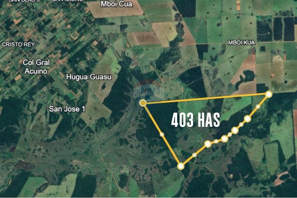 Commercial - Farm - Paraguay San Pedro General Elizardo Aquino - PY - IMG_20250617_165553_848.jpg - 143050060-297