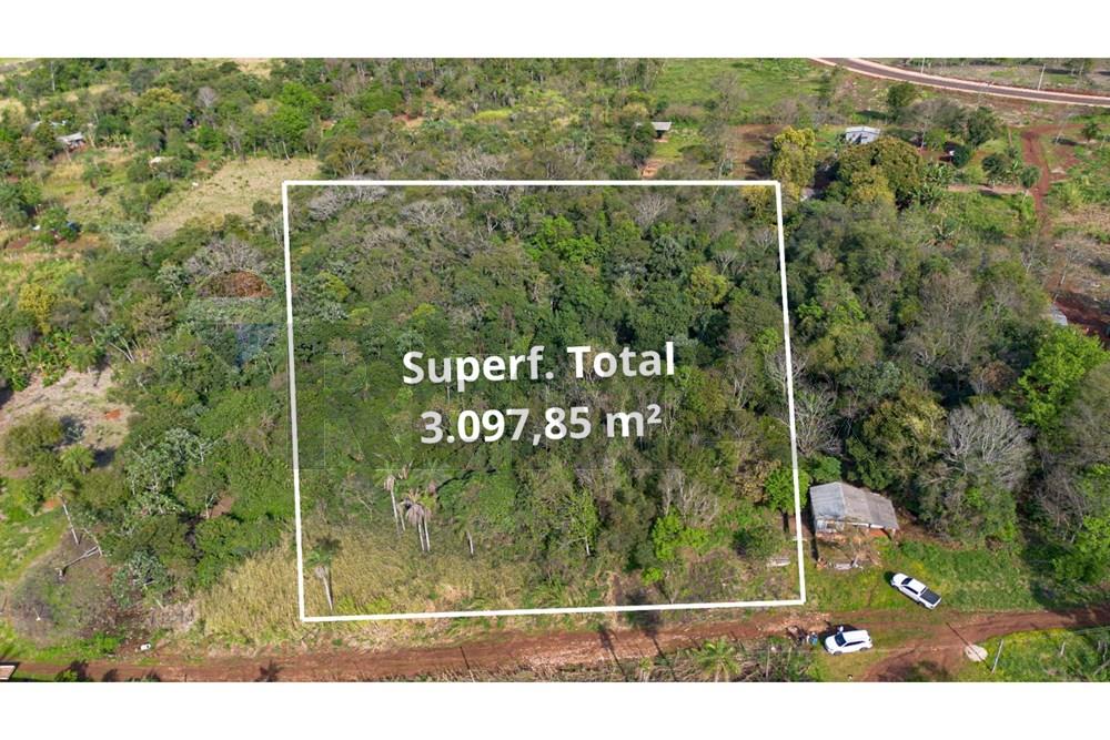 Residential - Land - Paraguay Alto Paraná Presidente Franco - PY - WhatsApp Image 2026-01-16 at 16.31.14 (1).jpeg - 143050175-13
