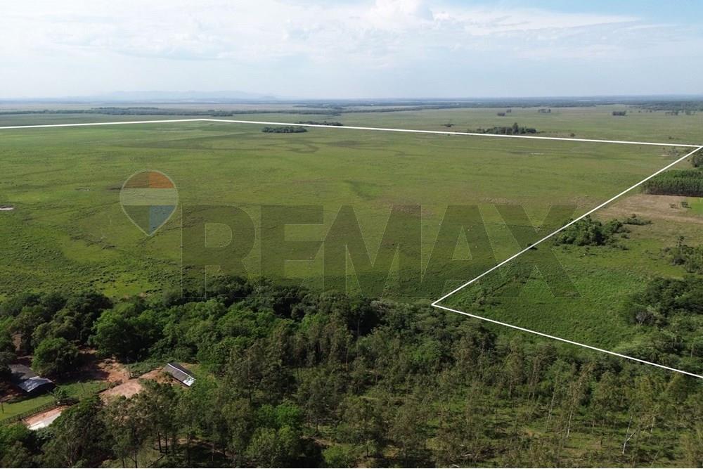 Commercieel - Boerderij - Paraguay Caaguazú Coronel Oviedo - PY - Diseño sin título (7).jpg - 143050100-33