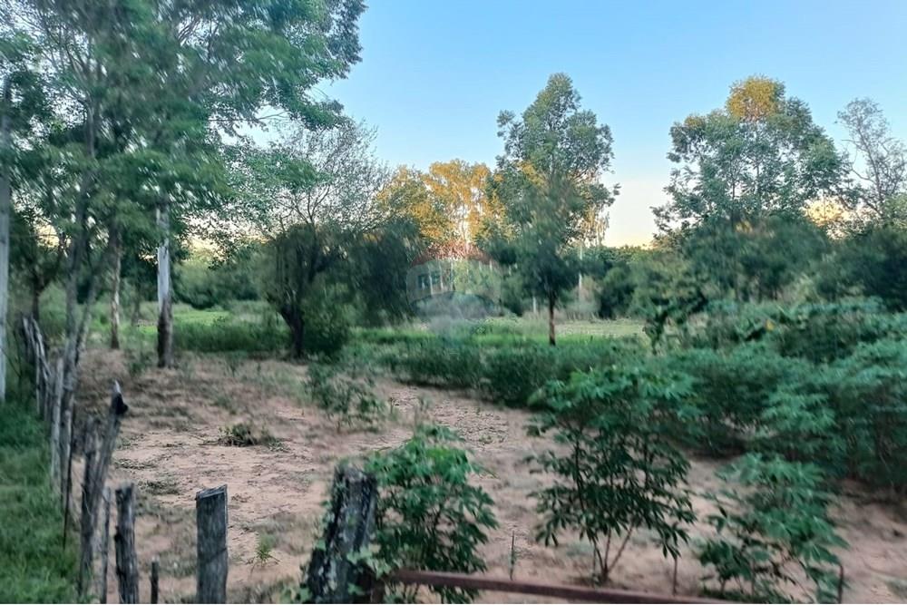 Terreno - Venta - Paraguay Central Aregua - WhatsApp Image 2025-02-07 at 9.06.05 AM.jpeg - 143095028-6