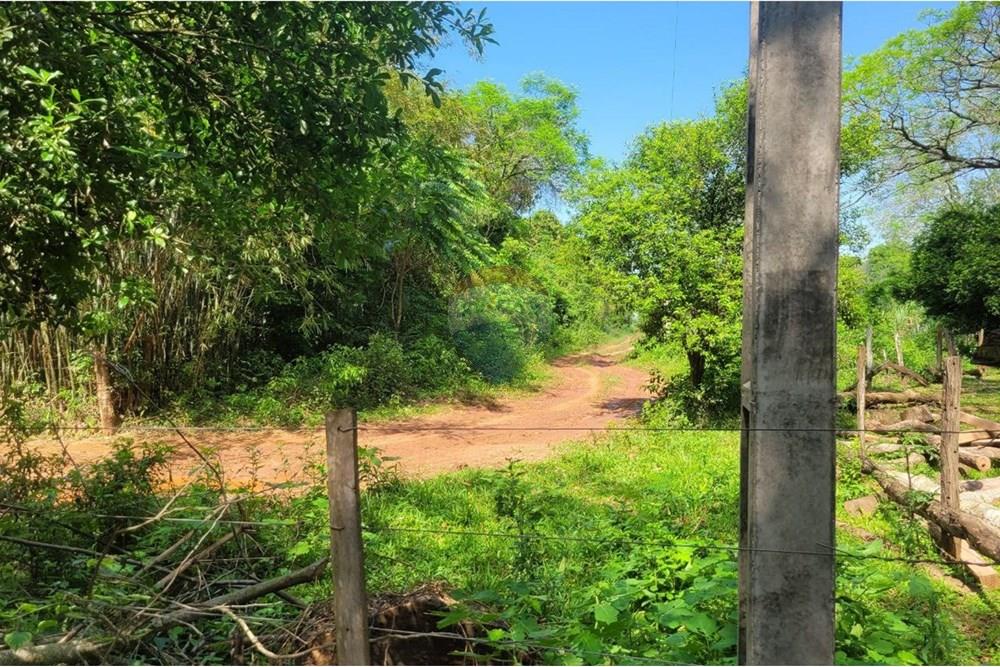 Finca Agrícola - Venta - Paraguay Caazapá San Juan Nepomuceno - 13.jpg - 143095004-90