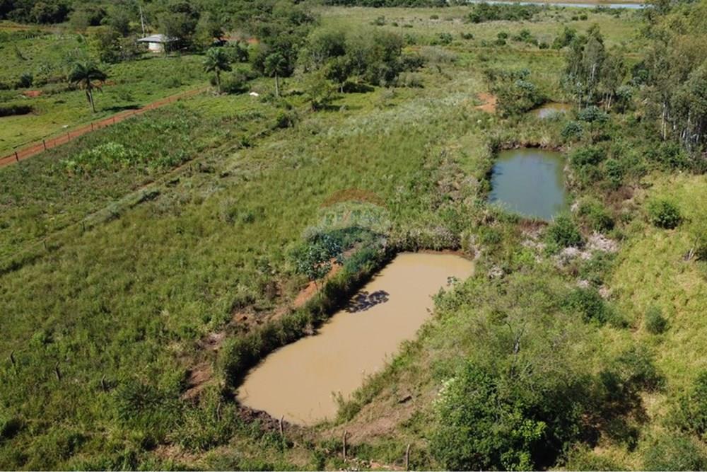 Commercial - Farm - Paraguay Alto Paraná Hernandarias - PY - DJI_0948.JPG - 143050154-21