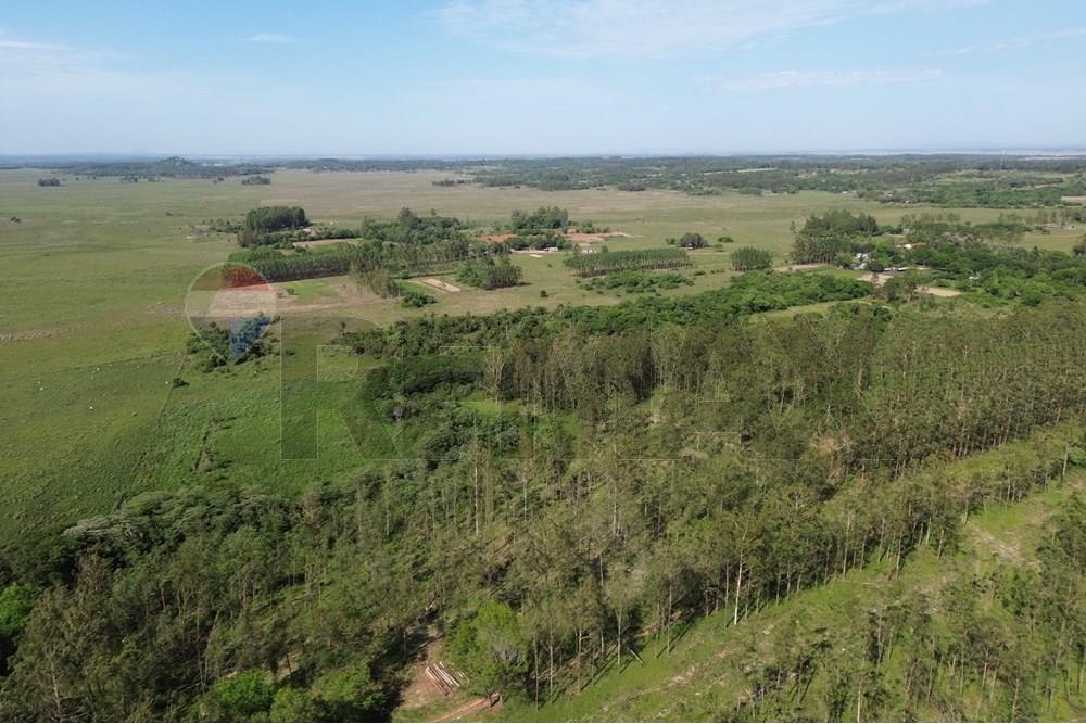 Commercieel - Boerderij - Paraguay Caaguazú Coronel Oviedo - PY - DJI_0644.JPG - 143050100-33