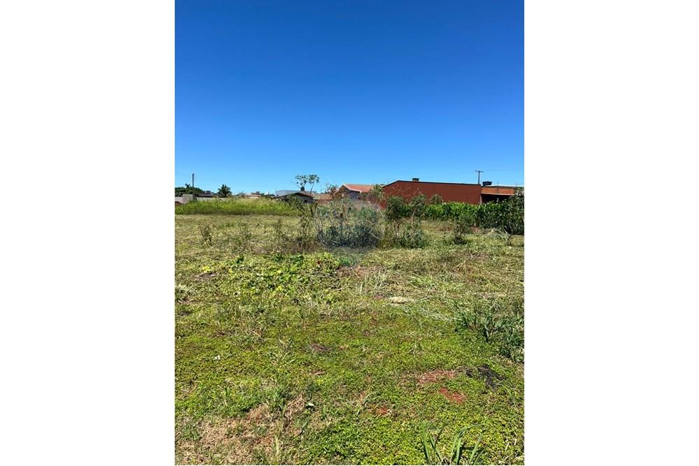 Residential - Land - Paraguay Alto Paraná San Alberto - PY - WhatsApp Image 2025-01-08 at 13.47.45.jpeg - 143050150-15