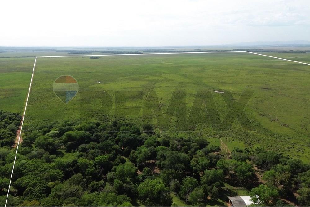 Commercieel - Boerderij - Paraguay Caaguazú Coronel Oviedo - PY - OVIEDO.jpg - 143050100-33