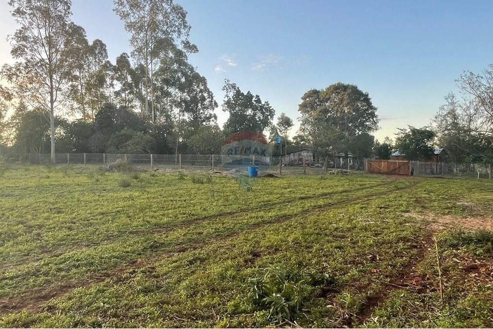 Commercial - Maatila - Paraguay Itapúa Trinidad - PY - WhatsApp Image 2024-09-13 at 1.11.39 PM (1).jpeg - 143036096-16