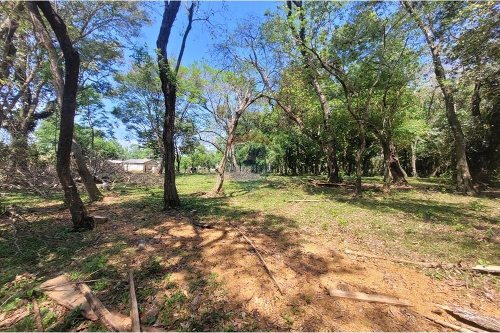 Finca Agrícola - Venta - Paraguay Caazapá San Juan Nepomuceno - 7.jpg - 143095004-90