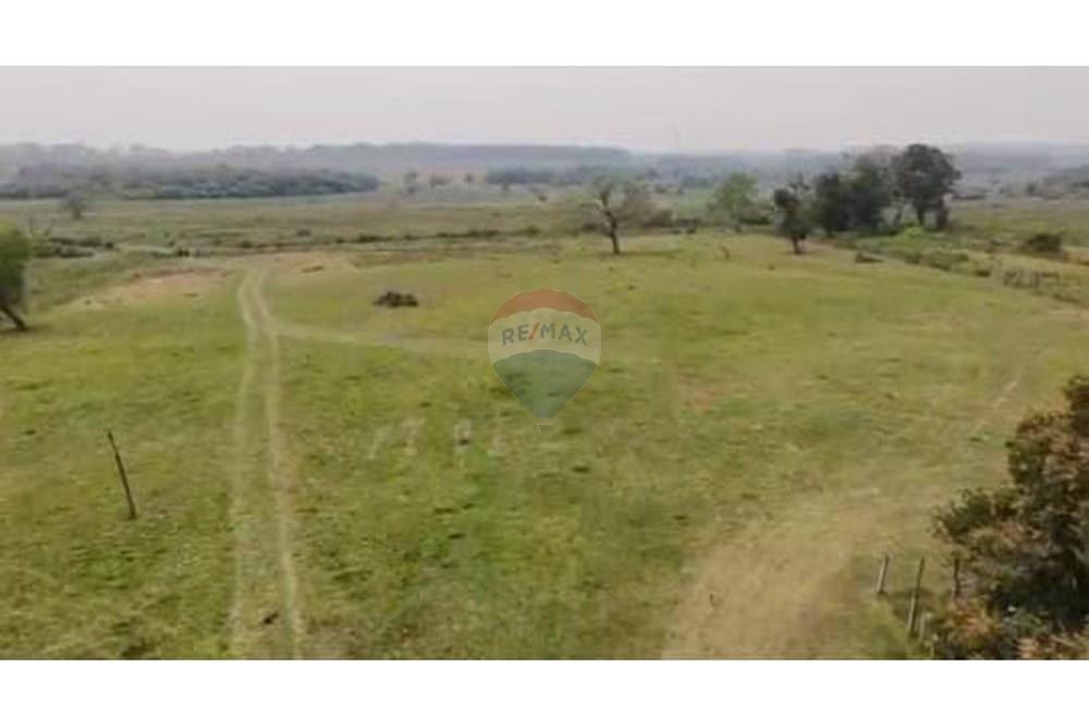 Commercial - Farm - Paraguay San Pedro General Elizardo Aquino - PY - WhatsApp Image 2025-06-18 at 14.35.20 (1).jpeg - 143050060-297